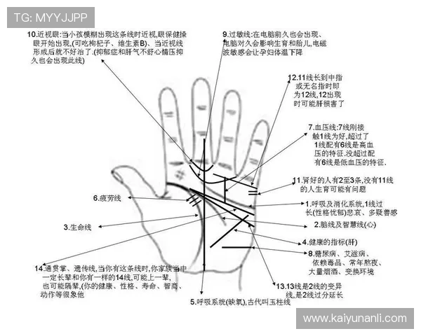 深入解读开运线图解的关键要素帮助你精准把握未来运势发展方向